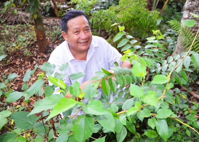 Khăm Phết Lào, con trai vua voi Ama Kông: Độc đáo chàng doanh nhân thầy thuốc 'đặc sản Tây Nguyên' ảnh 1